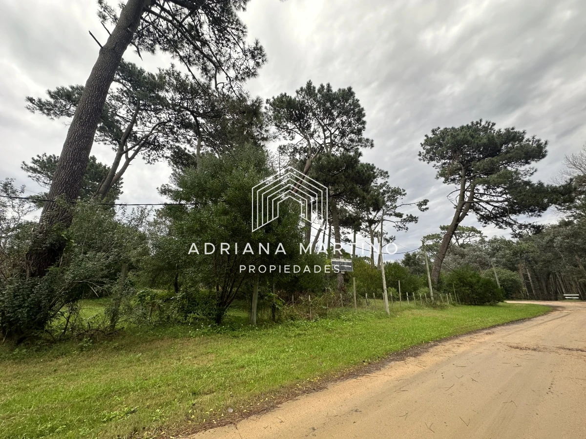 Rincón del Indio - GoPunta - Portal Inmobiliario de Punta del Este - Maldonado