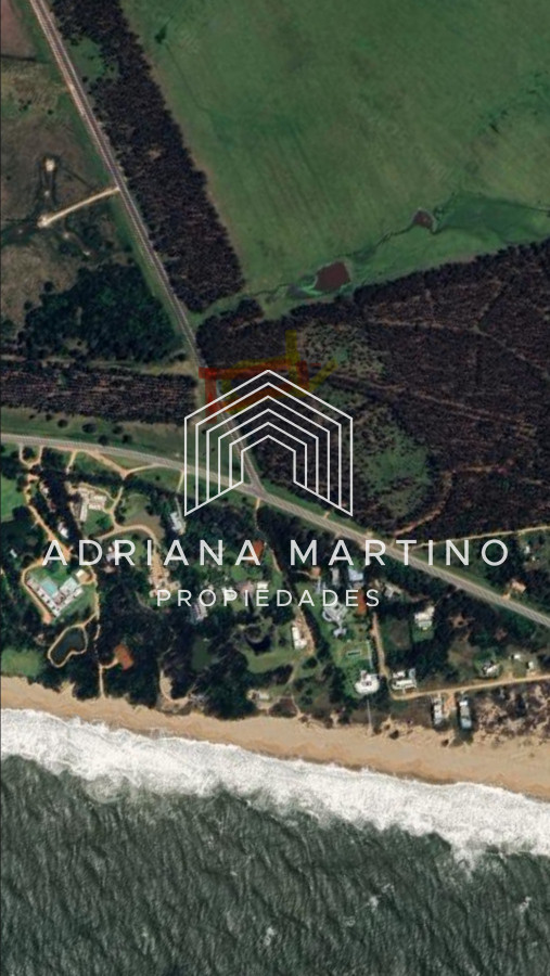 Santa Monica - GoPunta - Portal Inmobiliario de Punta del Este - Maldonado