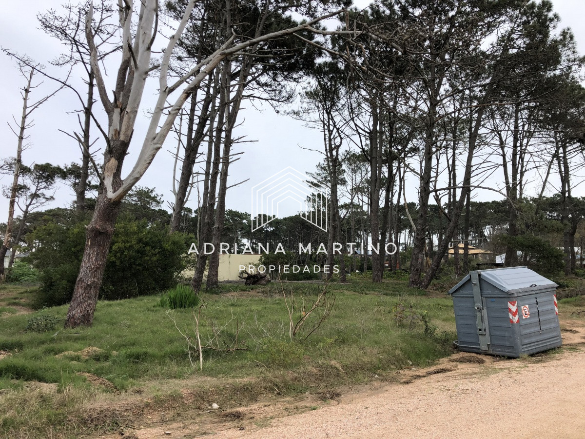 Terreno ID.69154 - Terreno en La Barra, Montoya