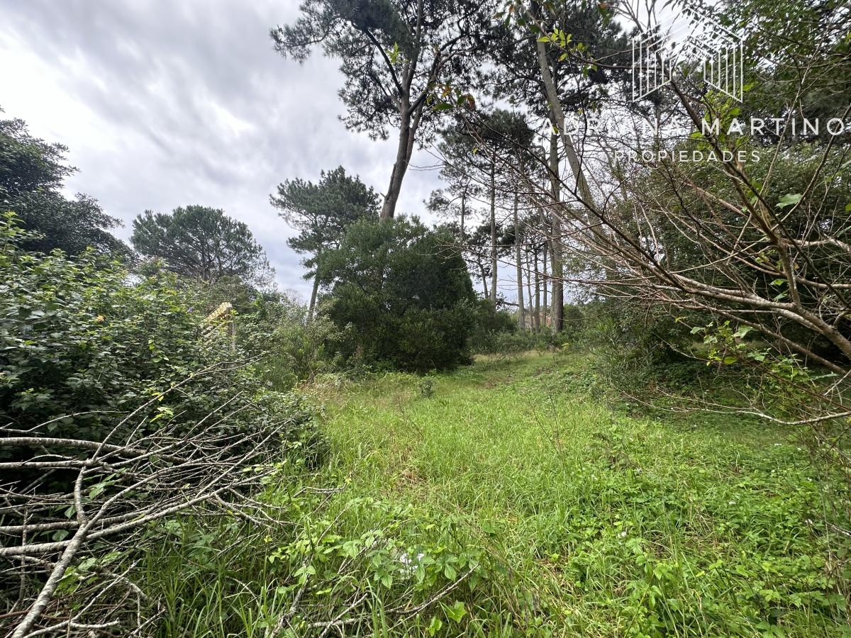 Terreno ID.68766 - Excelente terreno 