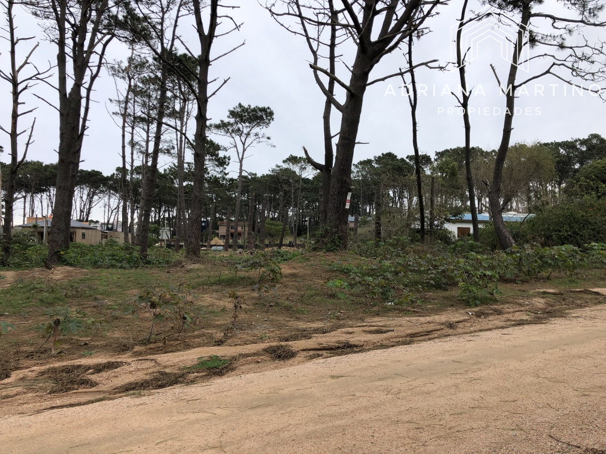 Terreno ID.69155 - Terreno en La Barra, Montoya