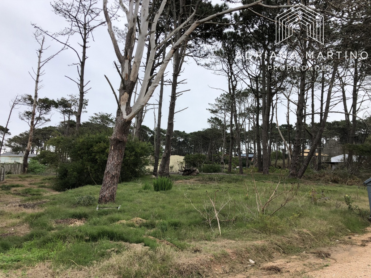 Terreno ID.69155 - Terreno en La Barra, Montoya