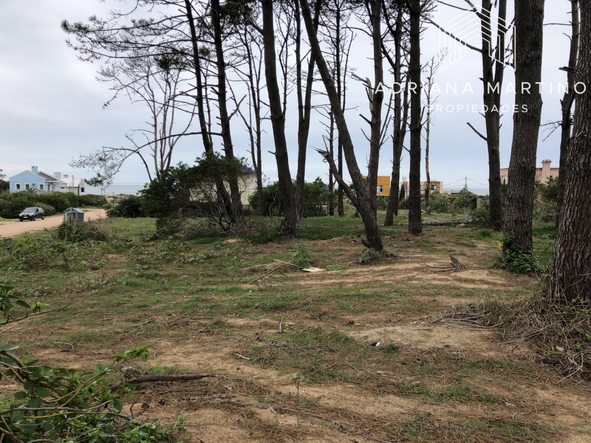 Terreno ID.69154 - Terreno en La Barra, Montoya