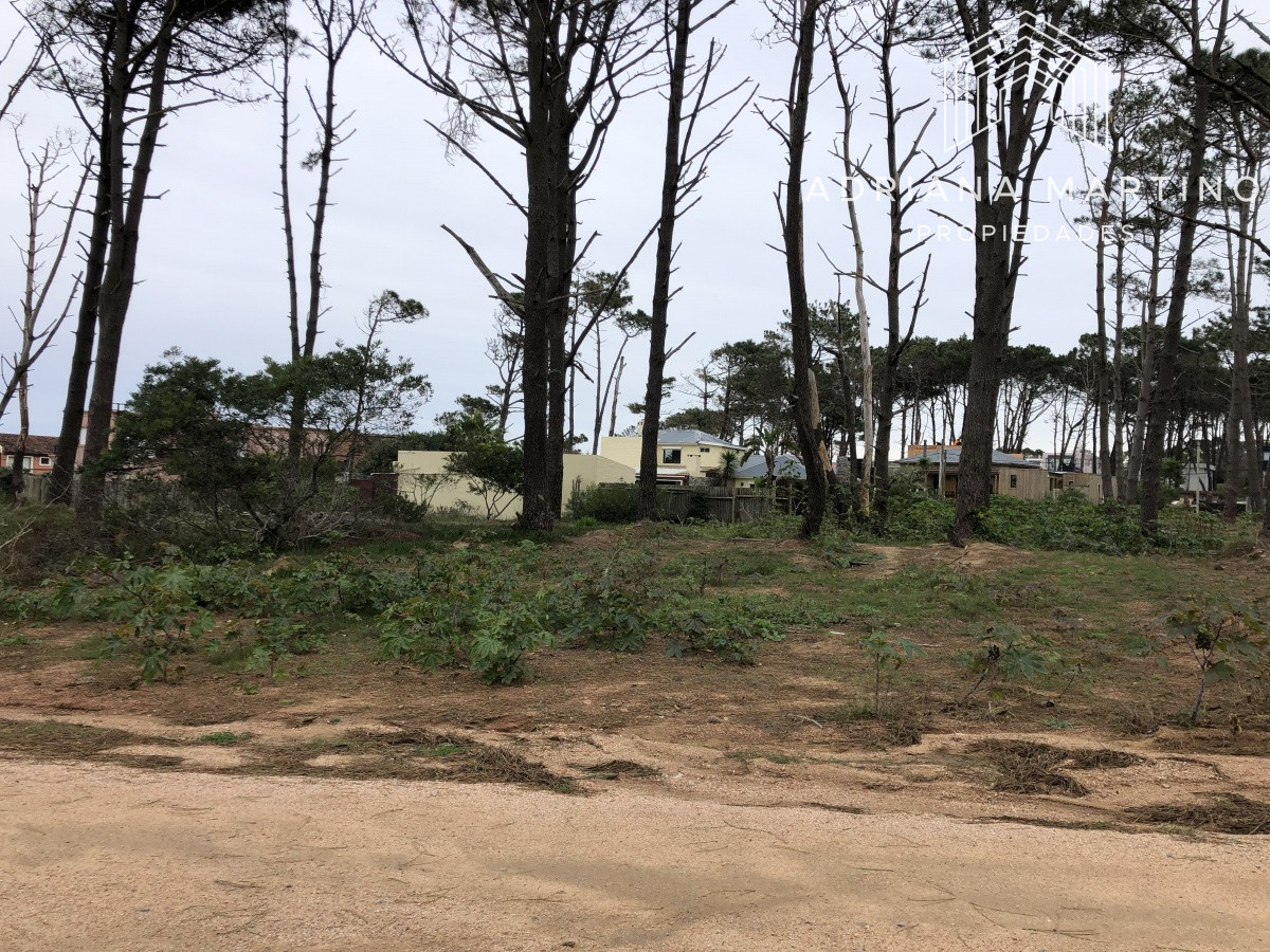 Terreno ID.69155 - Terreno en La Barra, Montoya