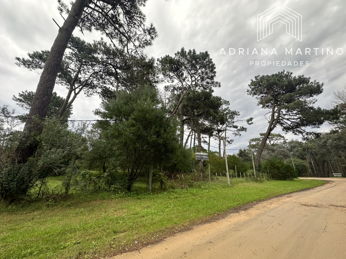 Terreno ID.68766 - Excelente terreno 