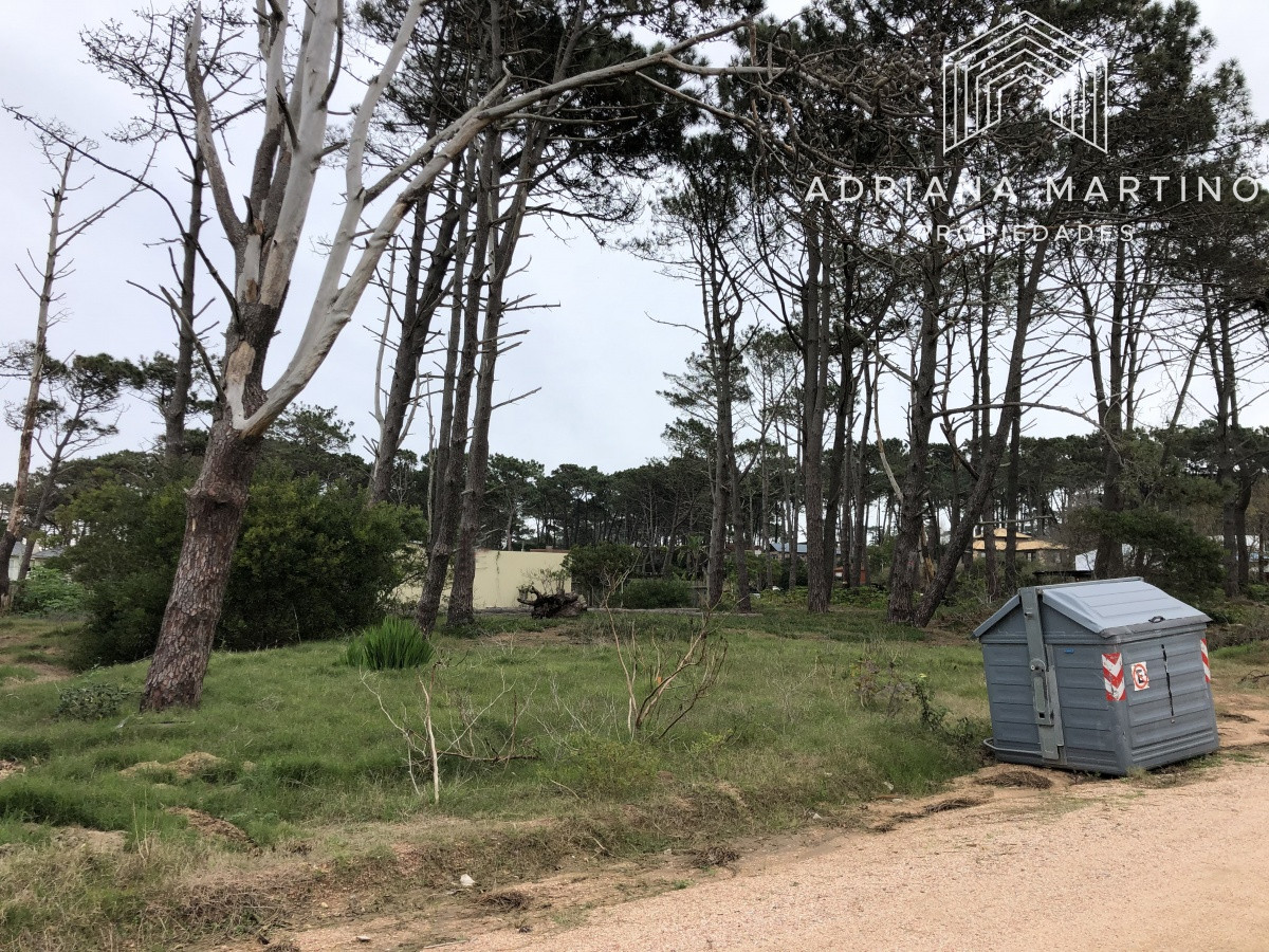 Terreno ID.69154 - Terreno en La Barra, Montoya