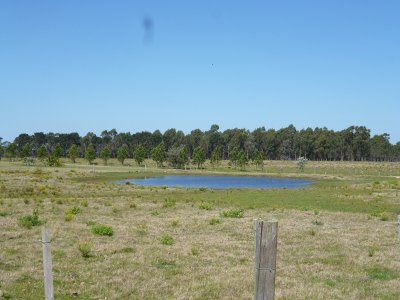 chacra jose ignacio. venta. alquiler. espectacular. - hho2100h