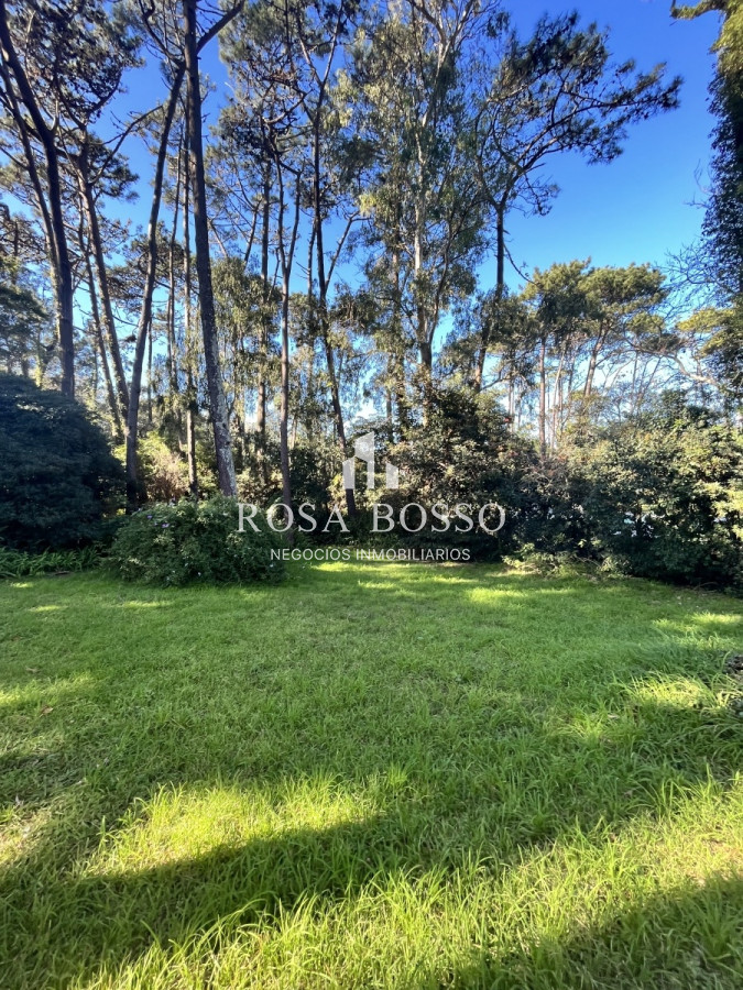 San Rafael - GoPunta - Portal Inmobiliario de Punta del Este - Maldonado