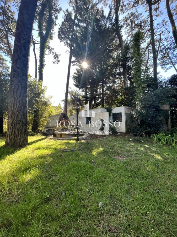 San Rafael - GoPunta - Portal Inmobiliario de Punta del Este - Maldonado