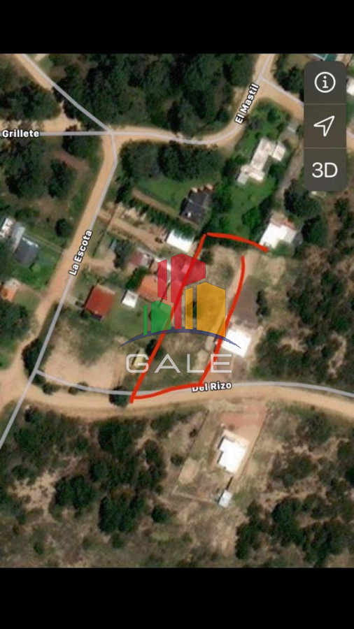 Tio Tom - GoPunta - Portal Inmobiliario de Punta del Este - Maldonado