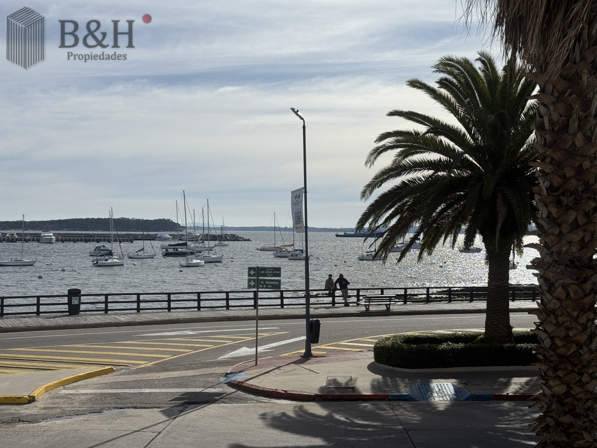 Puerto - GoPunta - Portal Inmobiliario de Punta del Este - Maldonado