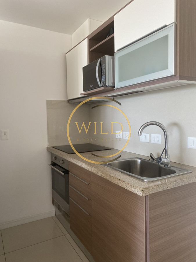 Apartamento ID.2019 - Alquiler anual apto con linda vista 