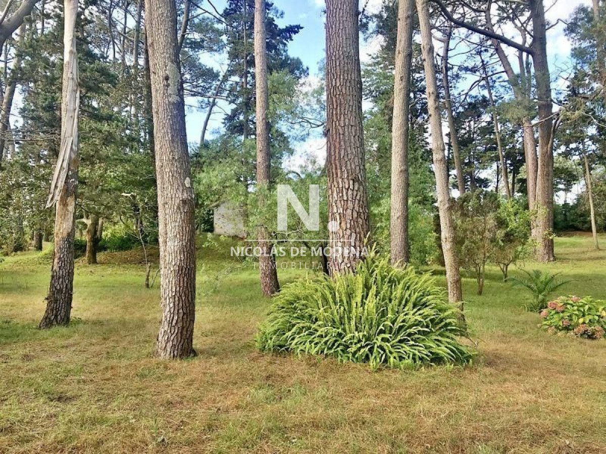 Cantegril - GoPunta - Portal Inmobiliario de Punta del Este - Maldonado