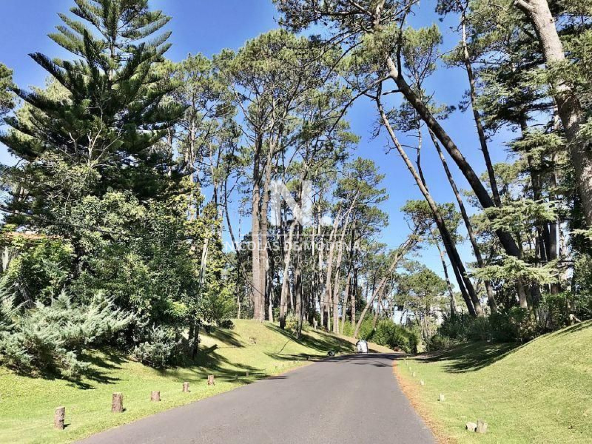 Cantegril - GoPunta - Portal Inmobiliario de Punta del Este - Maldonado