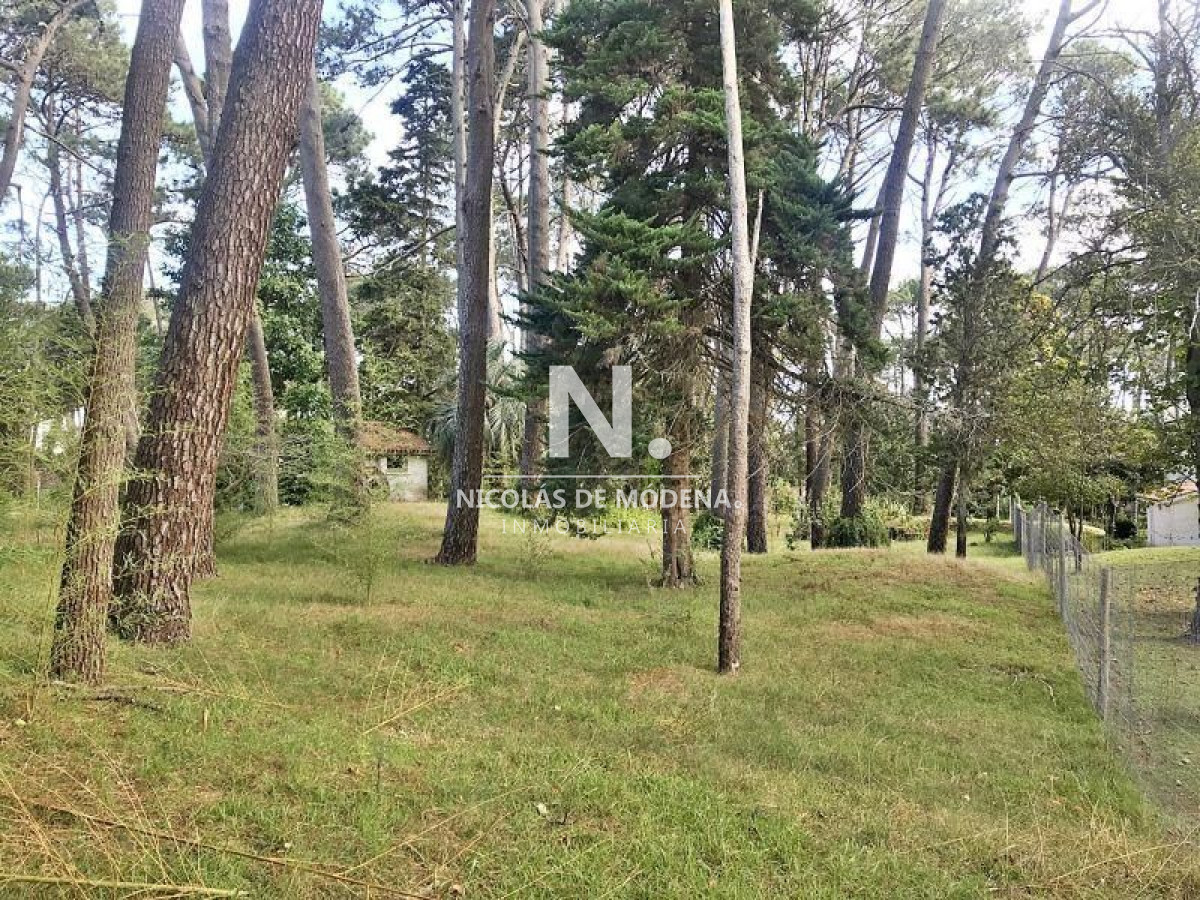 Cantegril - GoPunta - Portal Inmobiliario de Punta del Este - Maldonado