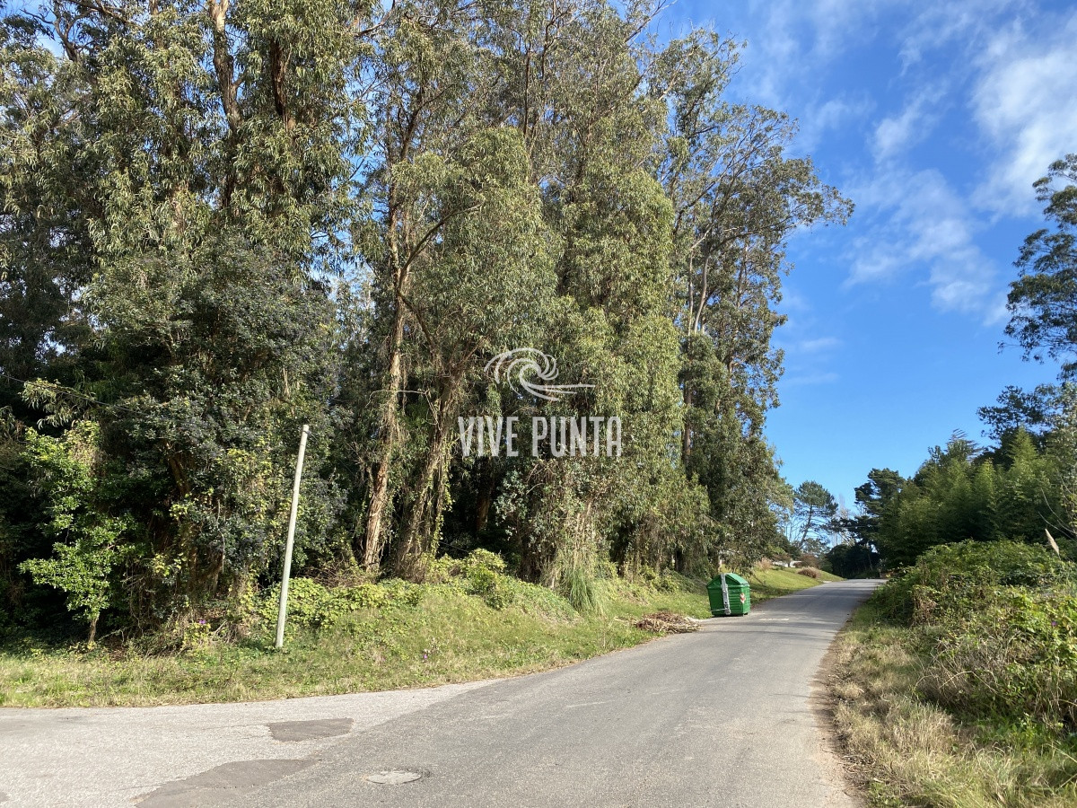 Terreno ID.678 - Terreno en venta Rincón Del Indio 