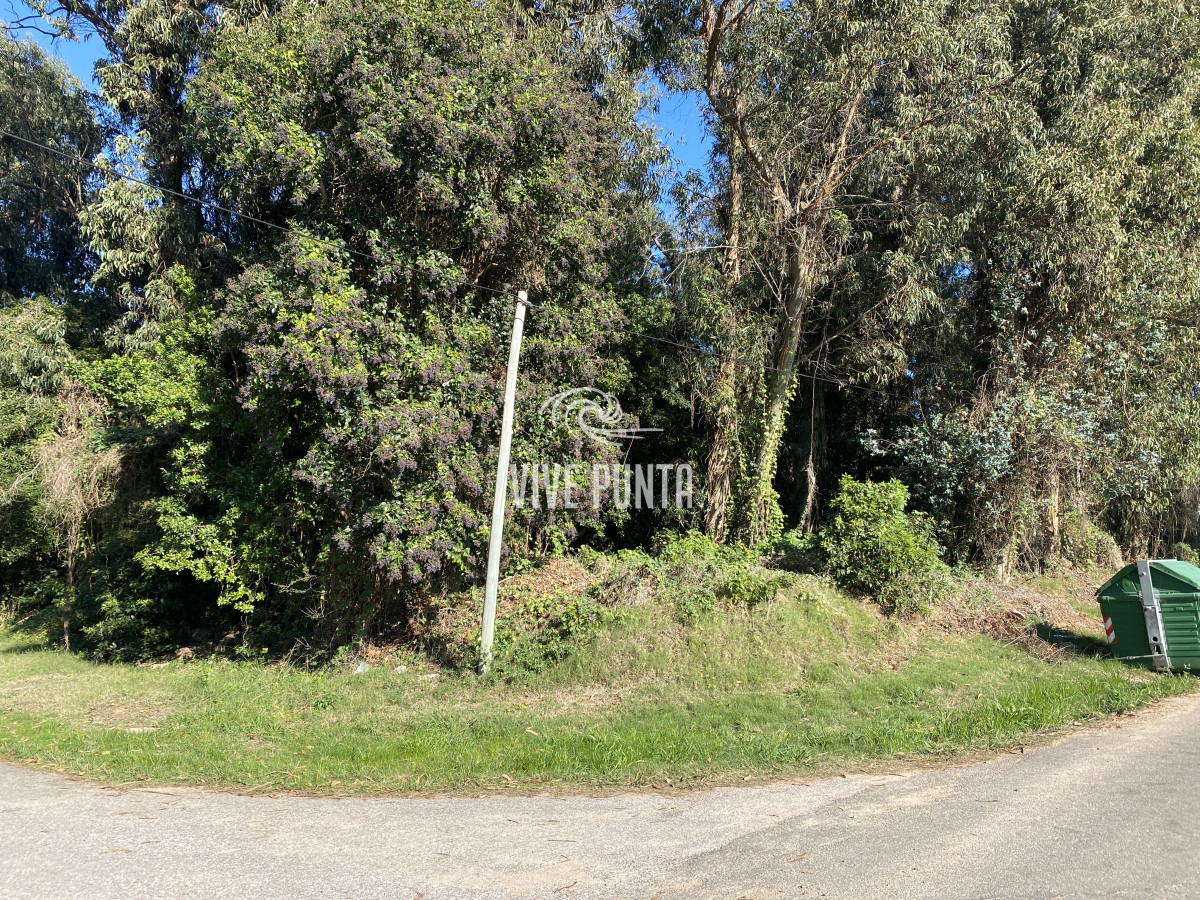 Terreno ID.678 - Terreno en venta Rincón Del Indio 