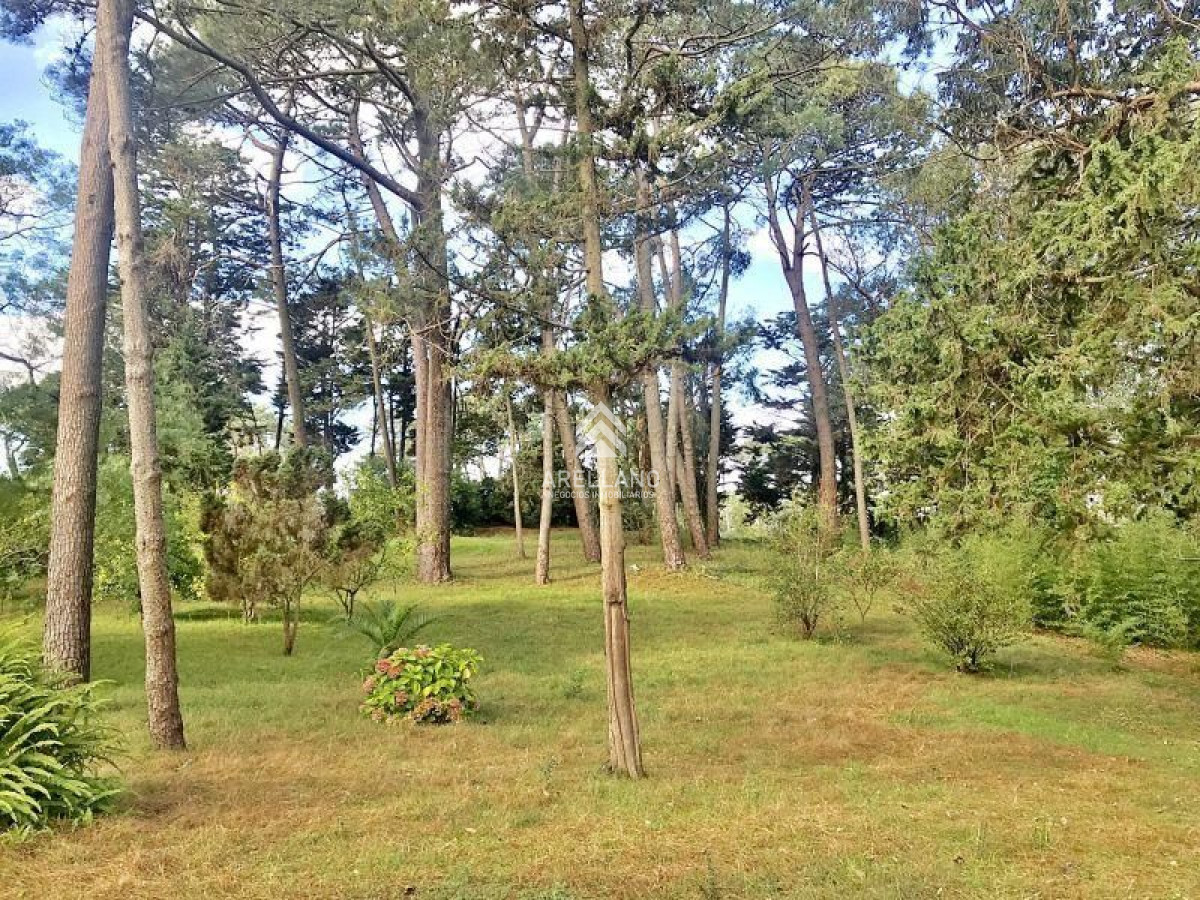 Terreno ID.1824 - Venta Terreno en Cantegril 
