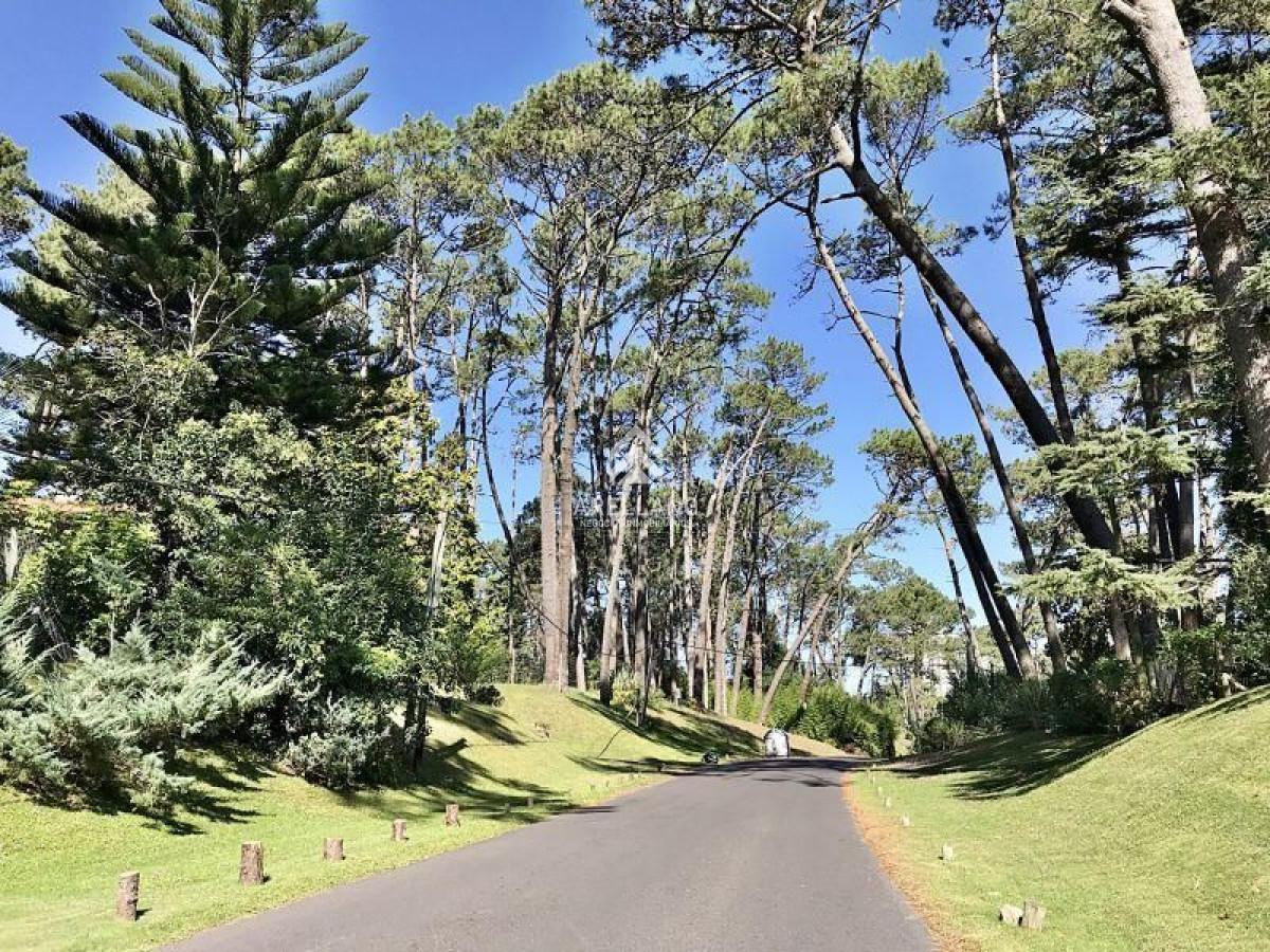 Terreno ID.1824 - Venta Terreno en Cantegril 
