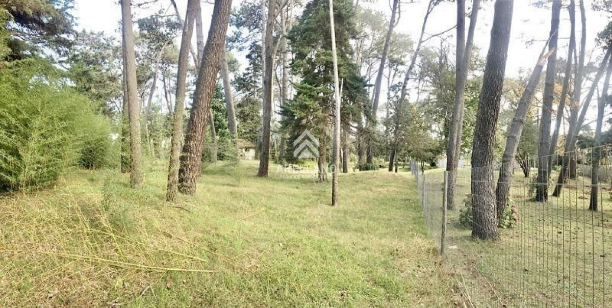 Terreno ID.1824 - Venta Terreno en Cantegril 