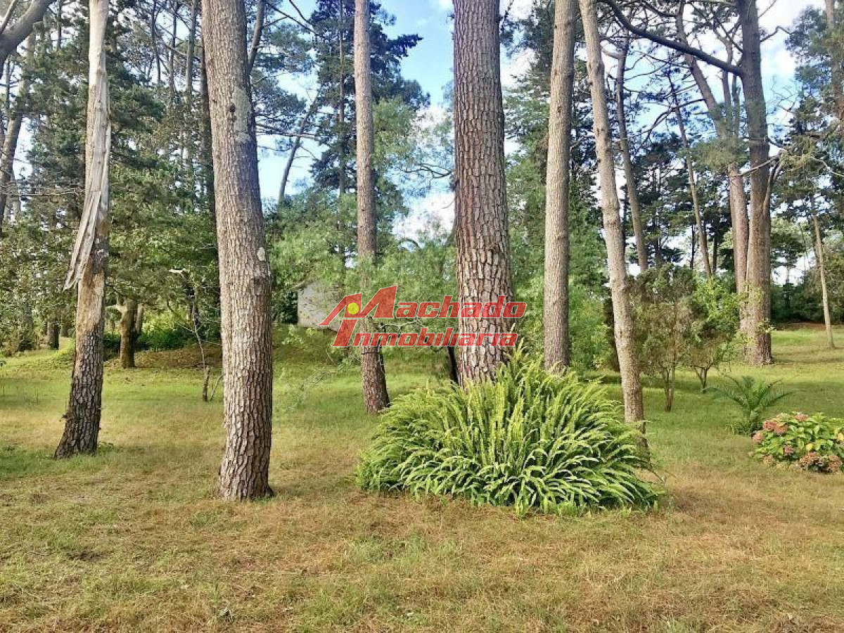 Cantegril - GoPunta - Portal Inmobiliario de Punta del Este - Maldonado