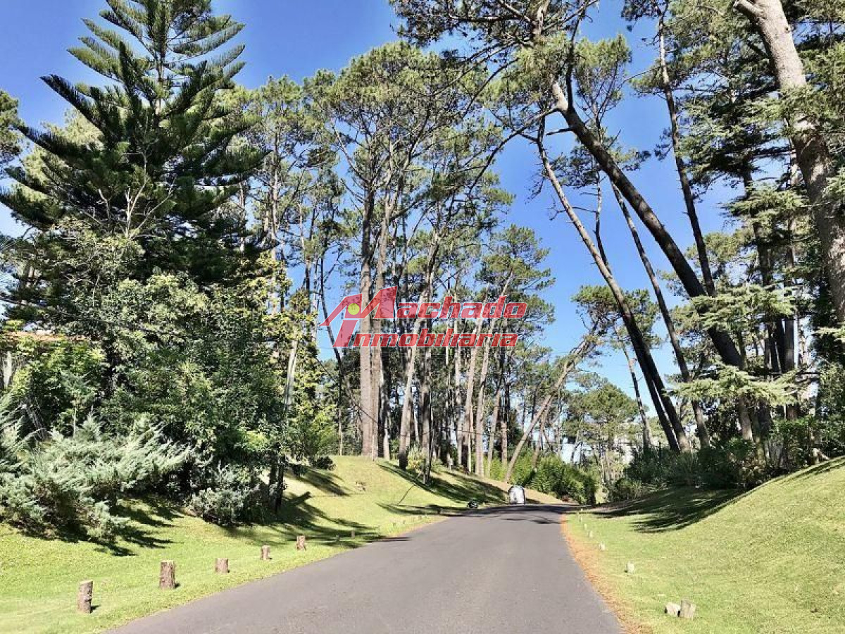 Cantegril - GoPunta - Portal Inmobiliario de Punta del Este - Maldonado