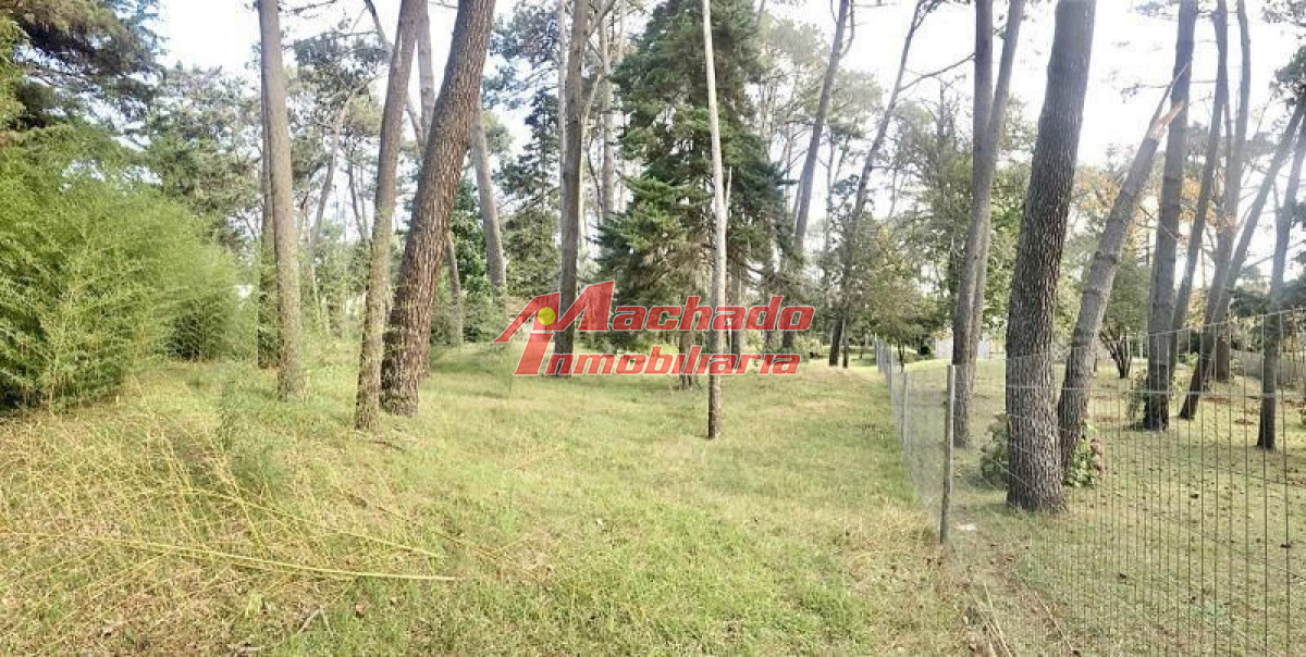 Cantegril - GoPunta - Portal Inmobiliario de Punta del Este - Maldonado