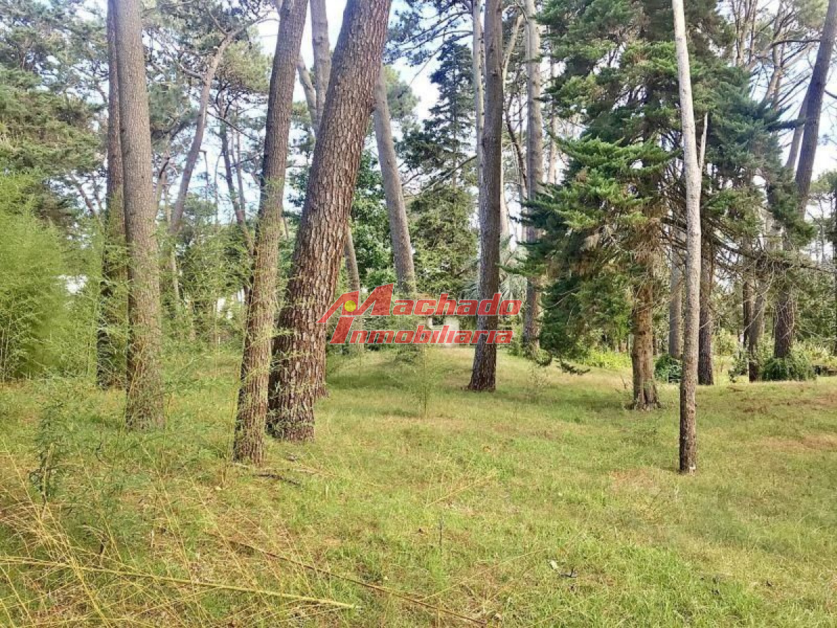 Cantegril - GoPunta - Portal Inmobiliario de Punta del Este - Maldonado