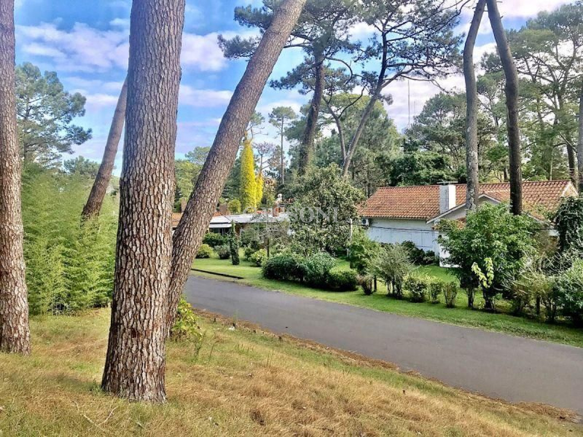 Terreno ID.1052 - Terreno en venta Cantegril 