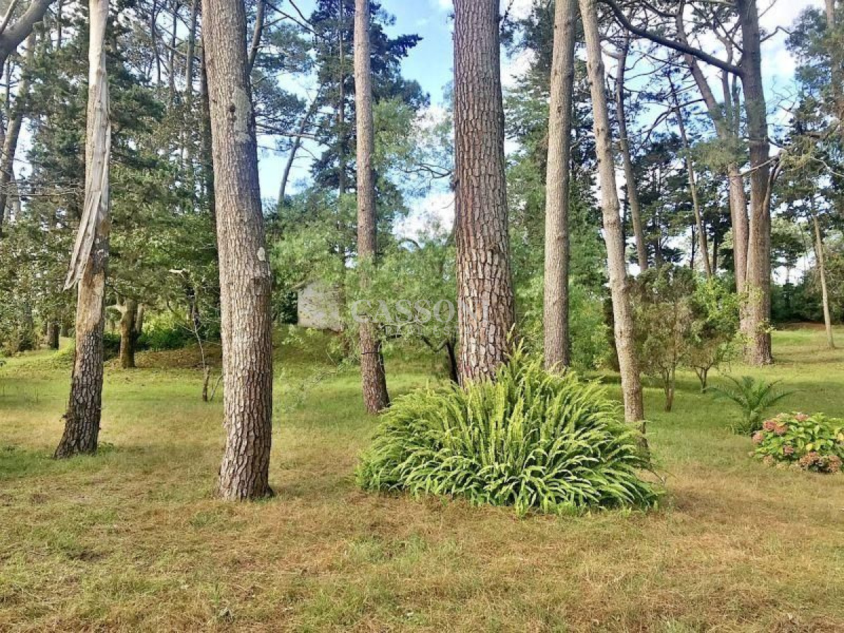 Terreno ID.1052 - Terreno en venta Cantegril 
