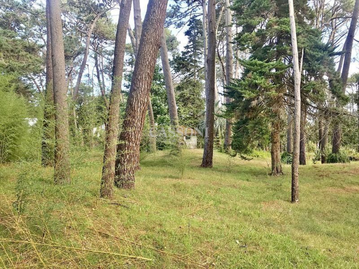 Terreno ID.1052 - Terreno en venta Cantegril 