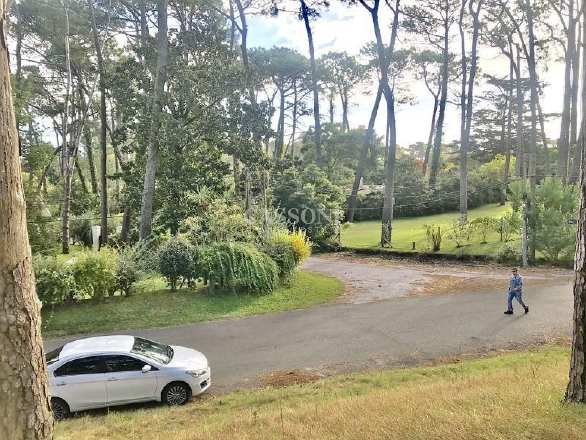 Terreno ID.1052 - Terreno en venta Cantegril 