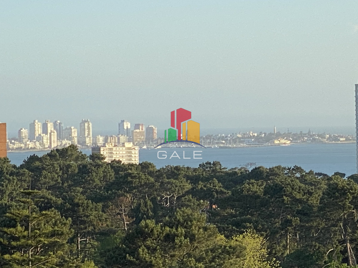 Roosevelt - GoPunta - Portal Inmobiliario de Punta del Este - Maldonado