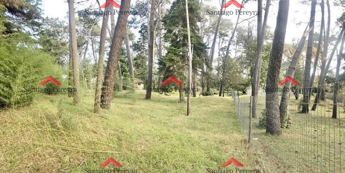 Cantegril - GoPunta - Portal Inmobiliario de Punta del Este - Maldonado