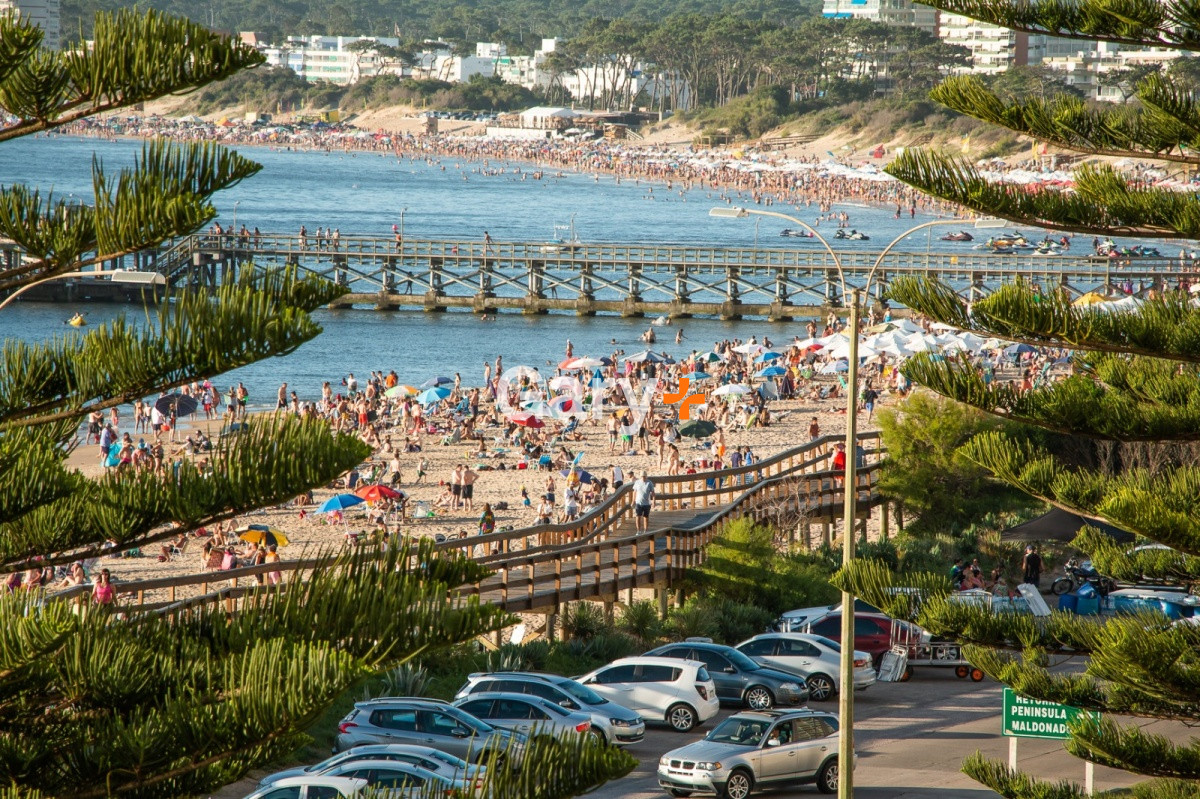 Apartamento ID.26463 - Apartamento en Punta del Este, Mansa