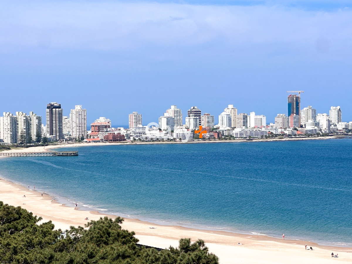 Apartamento ID.25161 - Apartamento de 3 dormitorios en venta en Punta del Este