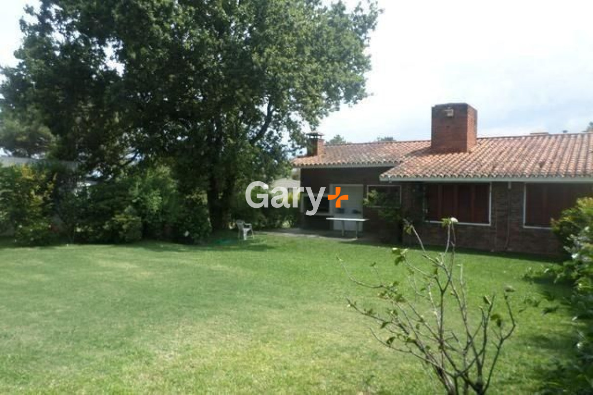 Tio Tom - GoPunta - Portal Inmobiliario de Punta del Este - Maldonado