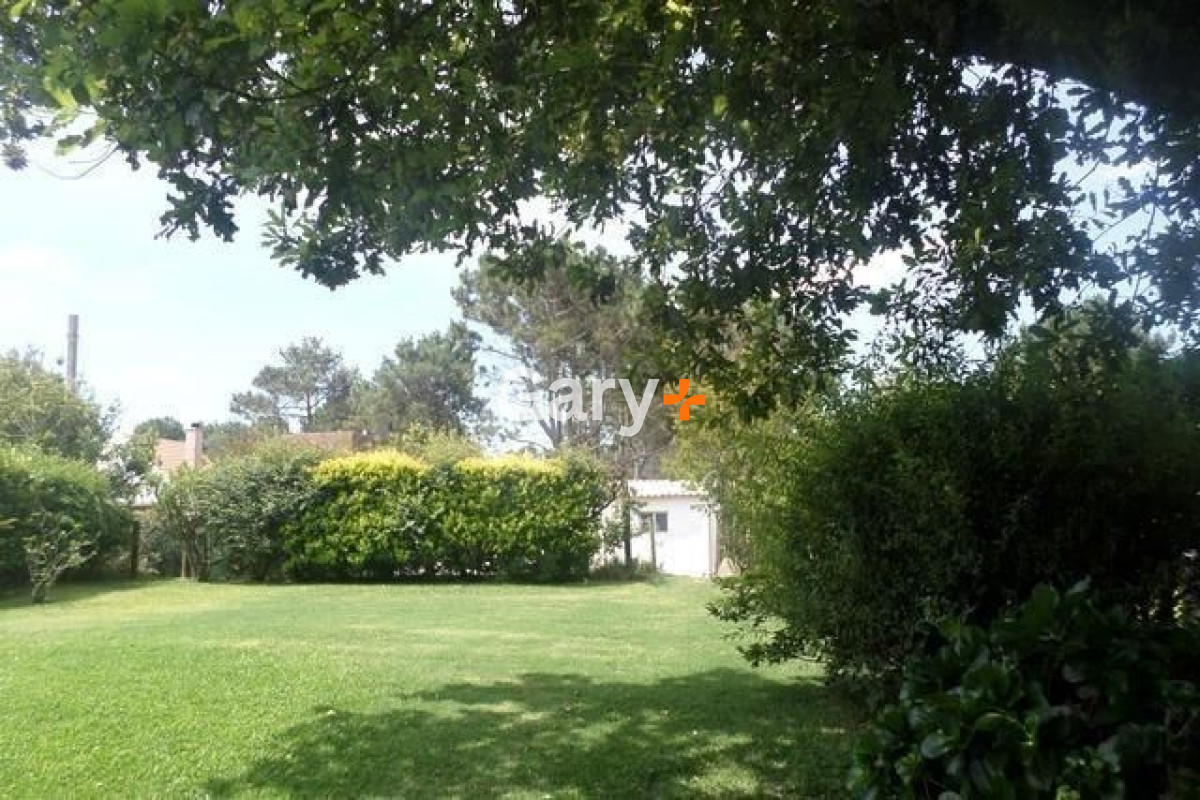 Tio Tom - GoPunta - Portal Inmobiliario de Punta del Este - Maldonado