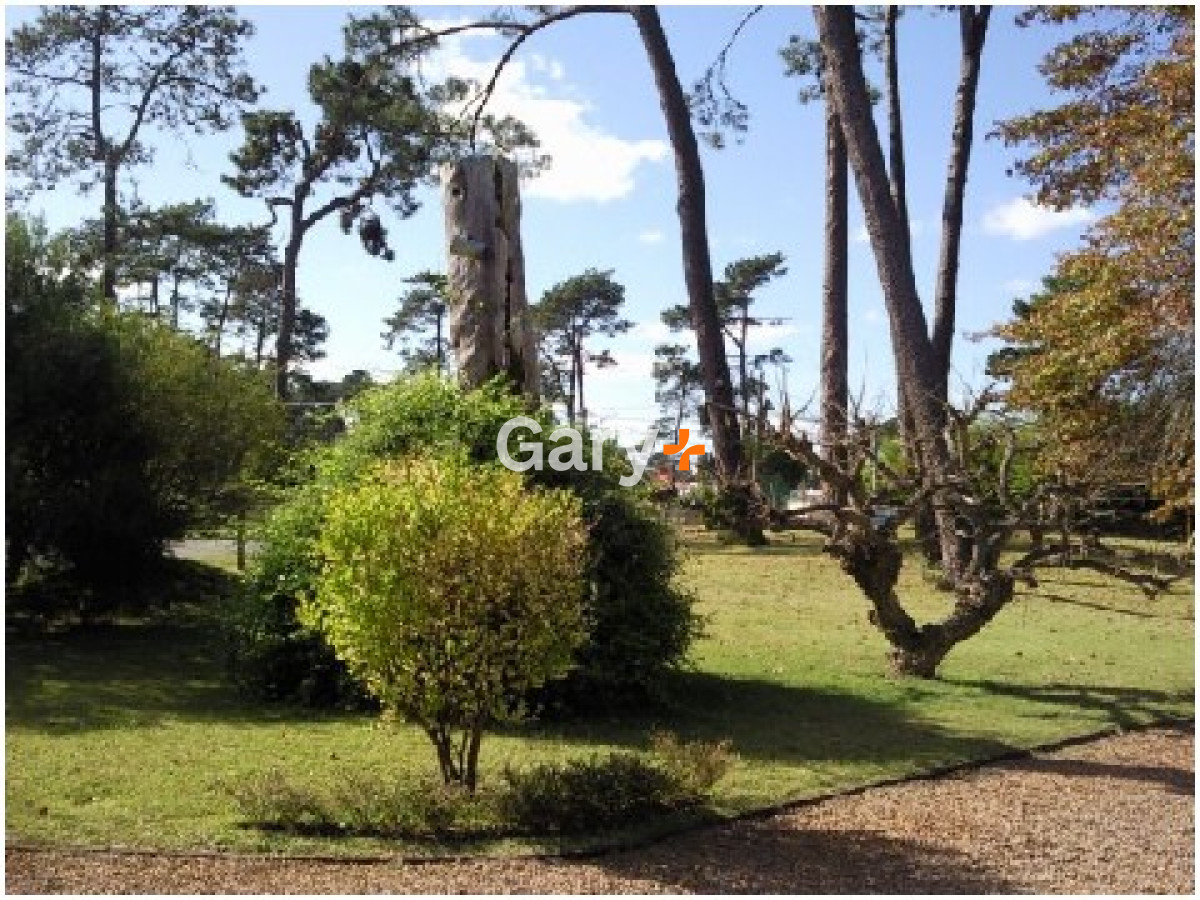 Cantegril - GoPunta - Portal Inmobiliario de Punta del Este - Maldonado