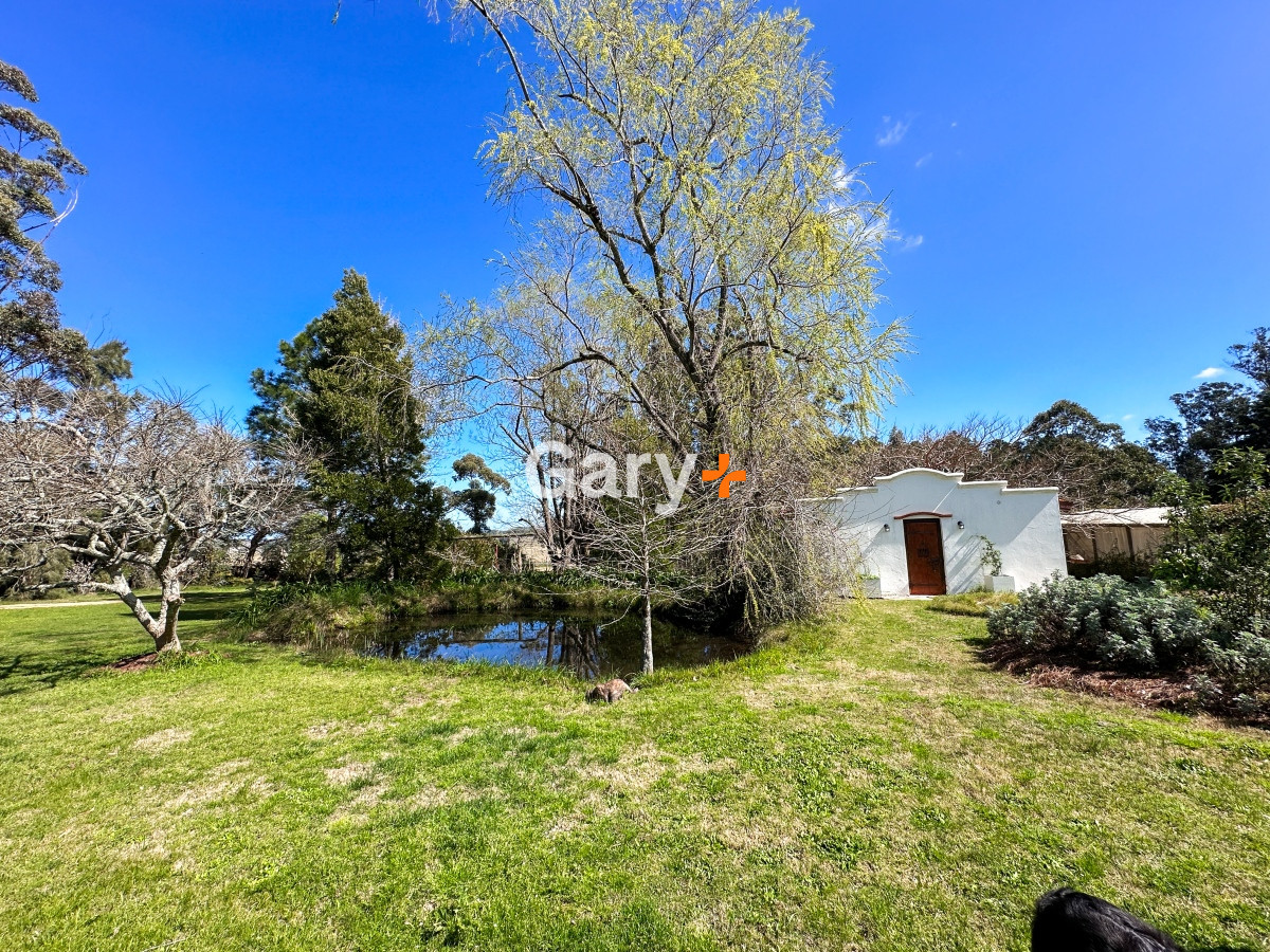 Camino Eguzquiza - GoPunta - Portal Inmobiliario de Punta del Este - Maldonado