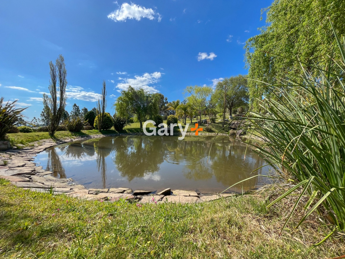 Chacra ID.23792 - Chacra en venta, Ruta 12 Punta Ballena 
