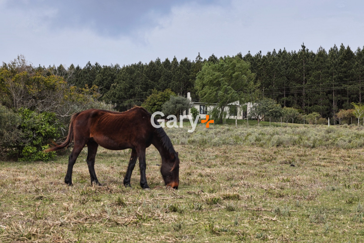 Chacra ID.27045 - Chacra a la venta en las Sierras de Maldonado