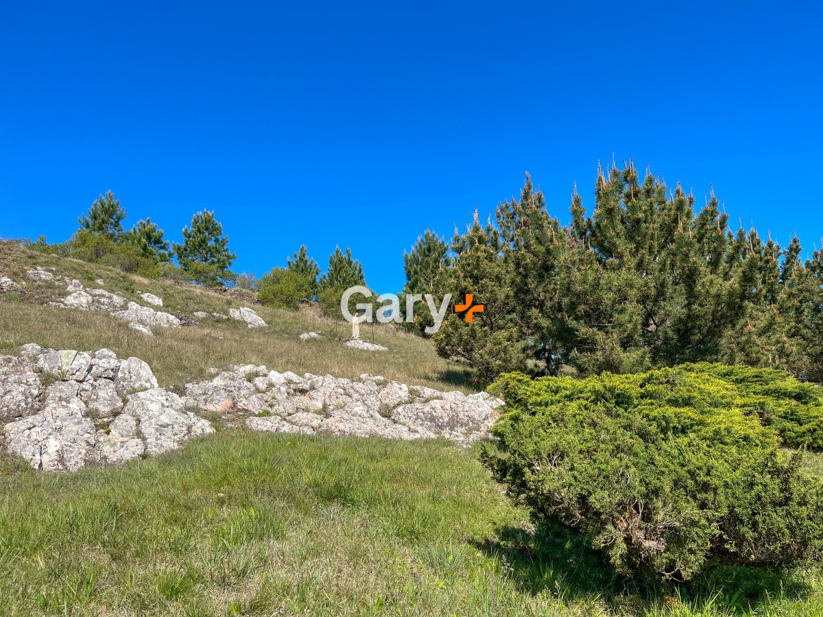Chacra ID.23792 - Chacra en venta, Ruta 12 Punta Ballena 