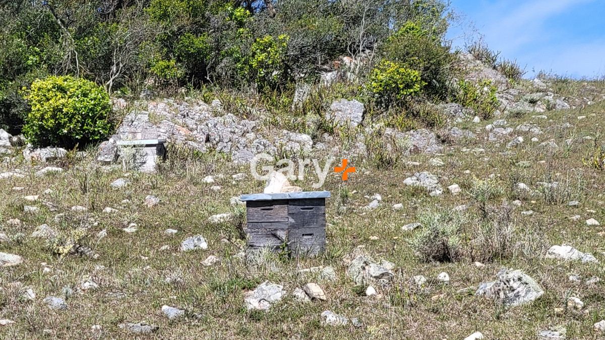 Chacra ID.27045 - Chacra a la venta en las Sierras de Maldonado