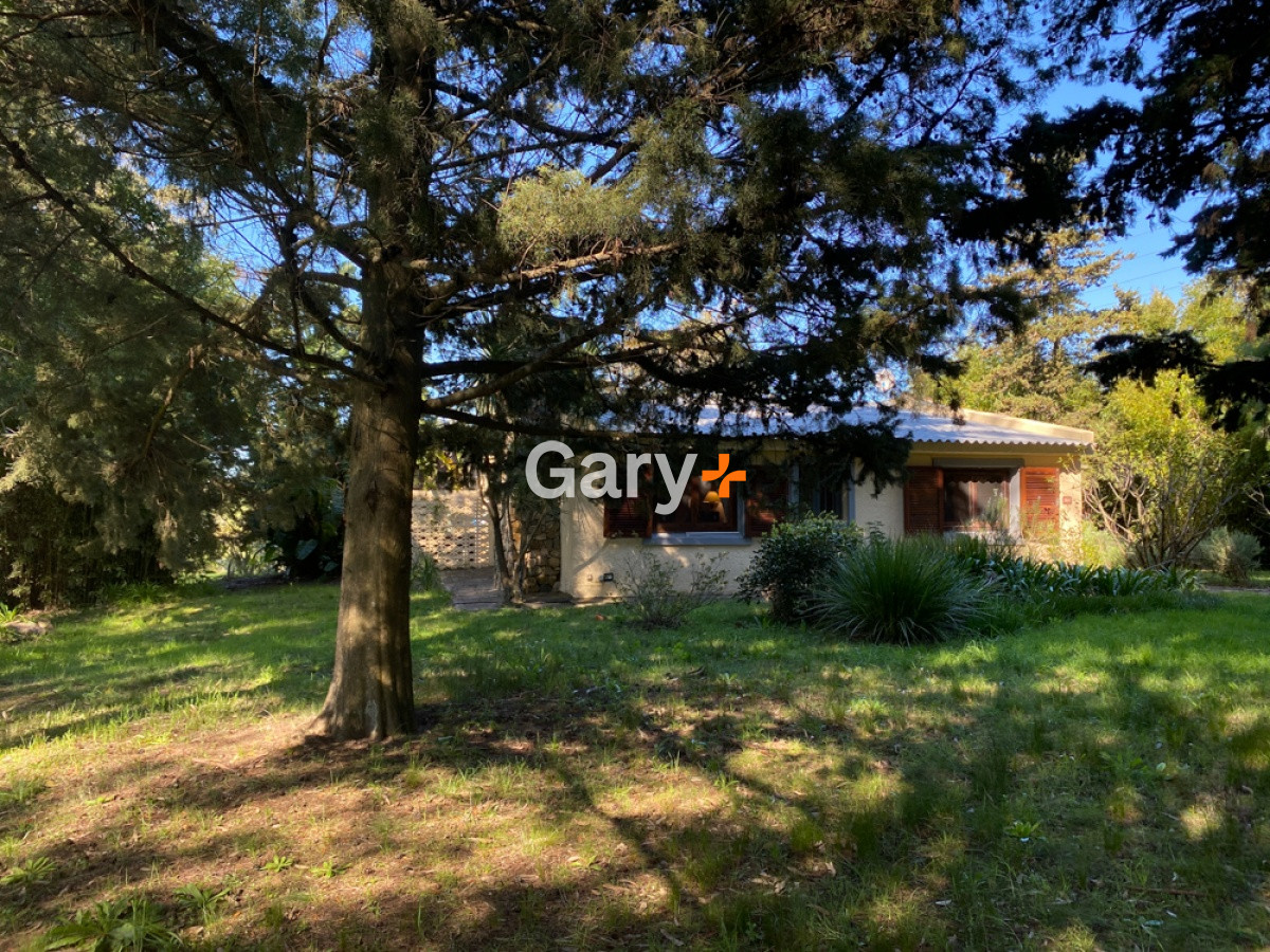 Camino Lussich - GoPunta - Portal Inmobiliario de Punta del Este - Maldonado