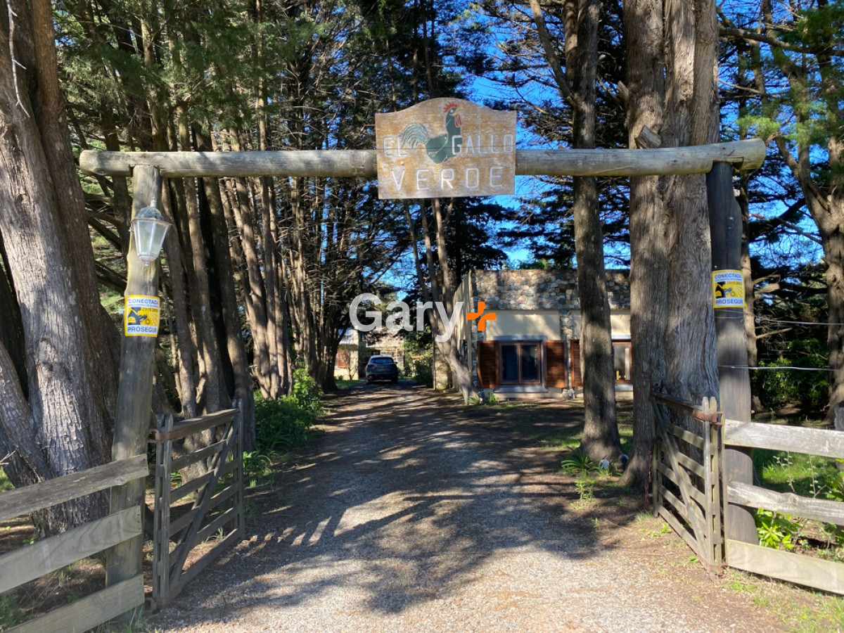 Camino Lussich - GoPunta - Portal Inmobiliario de Punta del Este - Maldonado