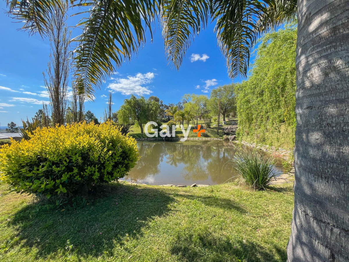 Chacra ID.23792 - Chacra en venta, Ruta 12 Punta Ballena 