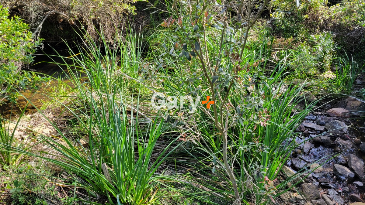 Chacra ID.27045 - Chacra a la venta en las Sierras de Maldonado