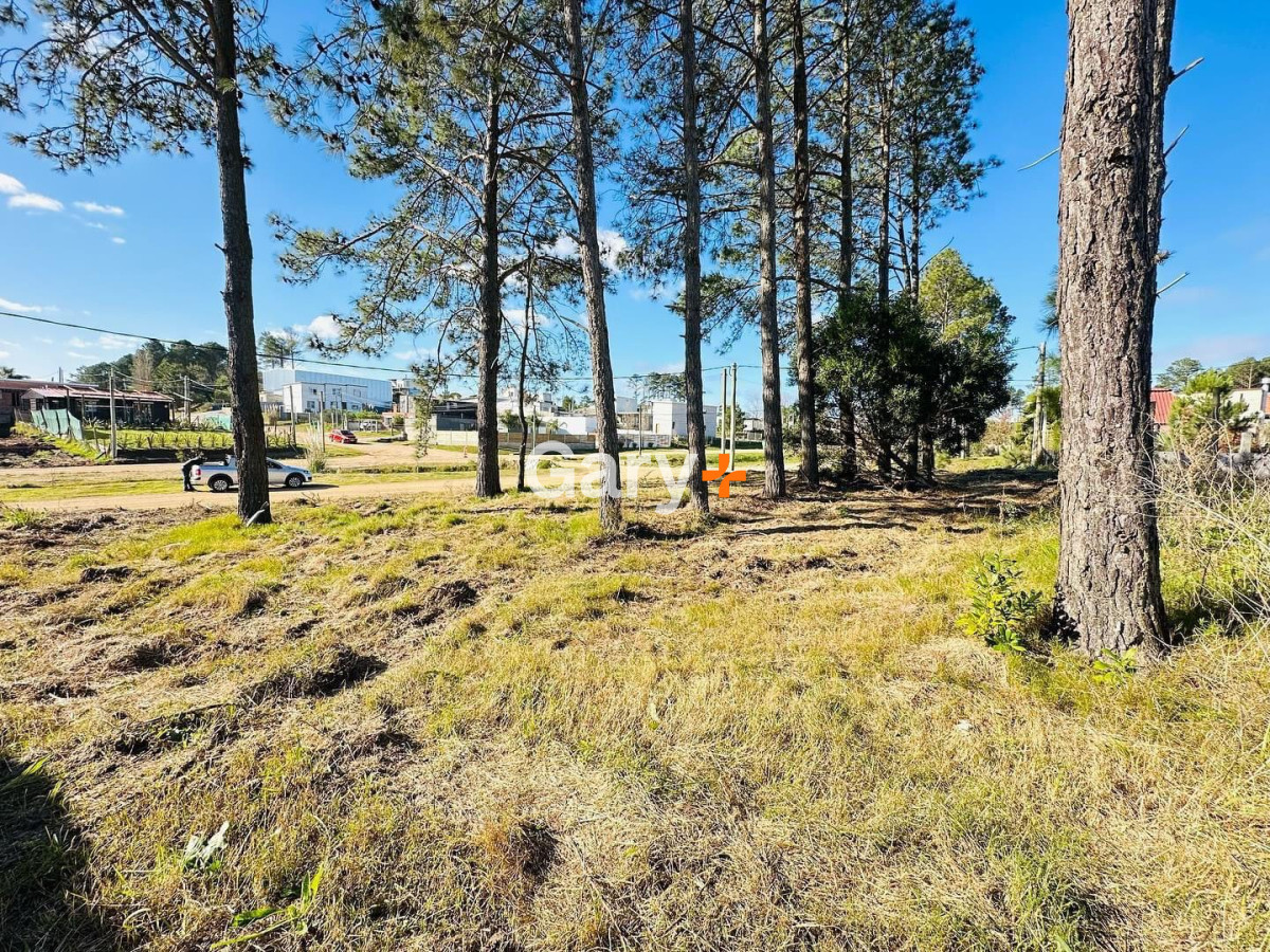 Altos de la Laguna - GoPunta - Portal Inmobiliario de Punta del Este - Maldonado