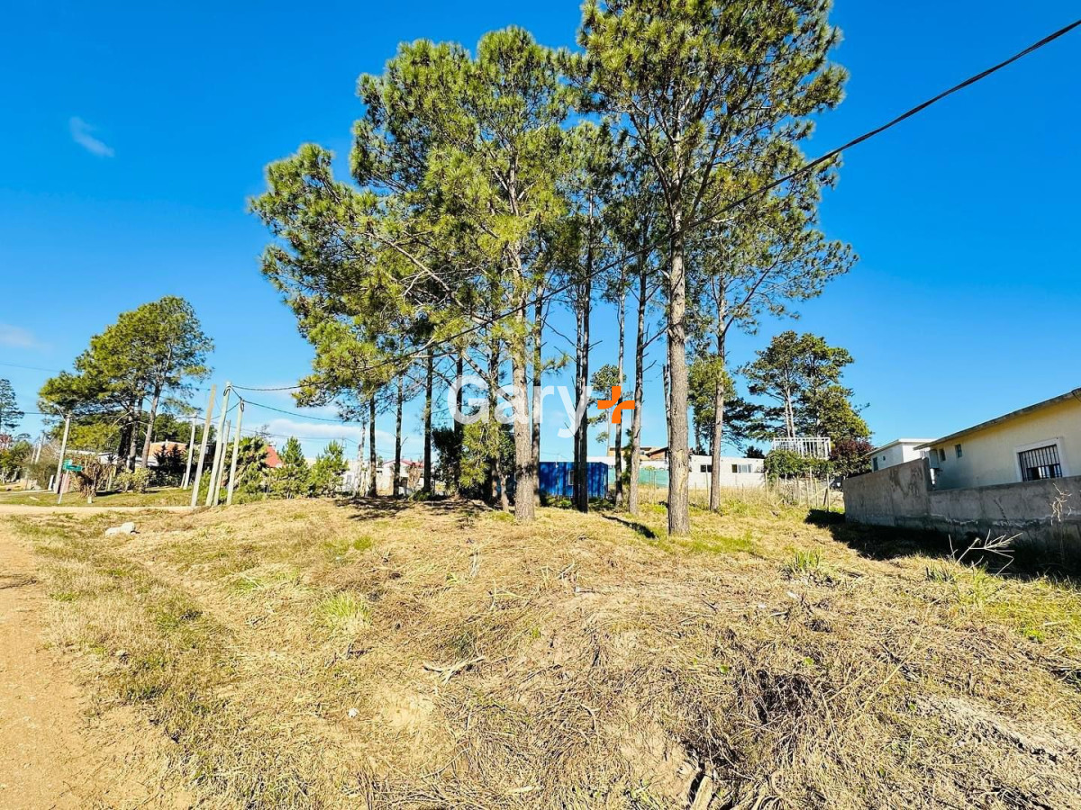 Altos de la Laguna - GoPunta - Portal Inmobiliario de Punta del Este - Maldonado